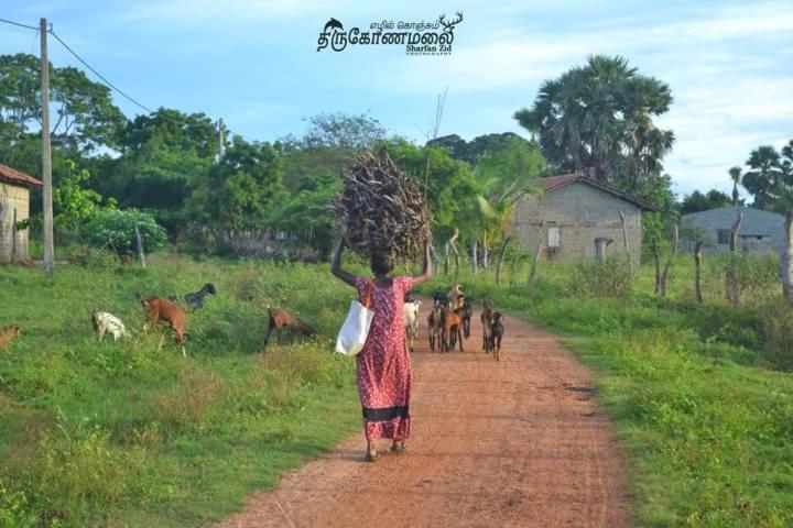 Uppuveli Beach House Trincomalee Buitenkant foto